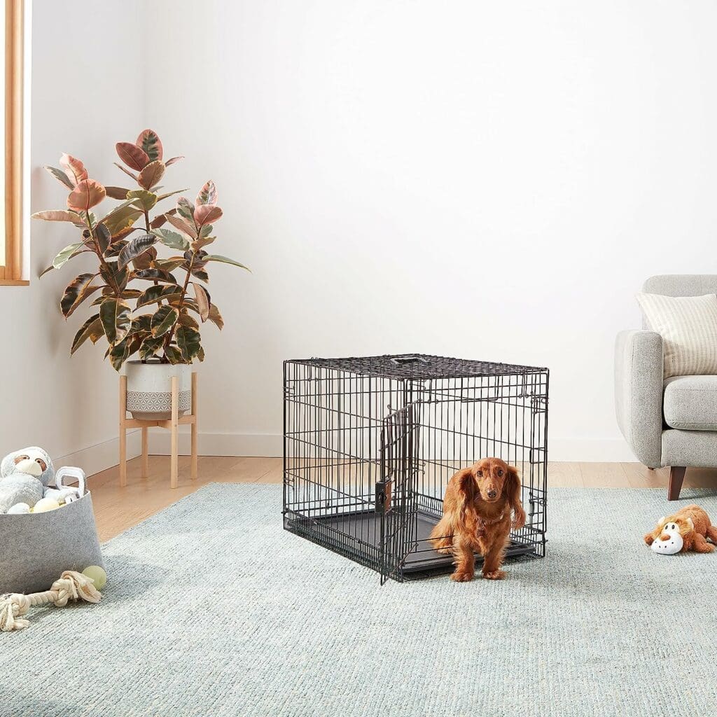 Amazon Basics - Durable, Foldable Metal Wire Dog Crate with Tray, Single Door, 30 x 19 x 21 Inches, Black