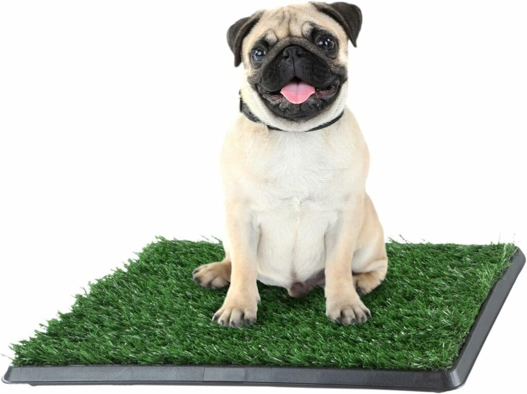 Artificial Grass Puppy Pee Pad for Dogs and Small Pets - 16x20 Reusable 3-Layer Training Potty Pad with Tray - Dog Housebreaking Supplies by PETMAKER