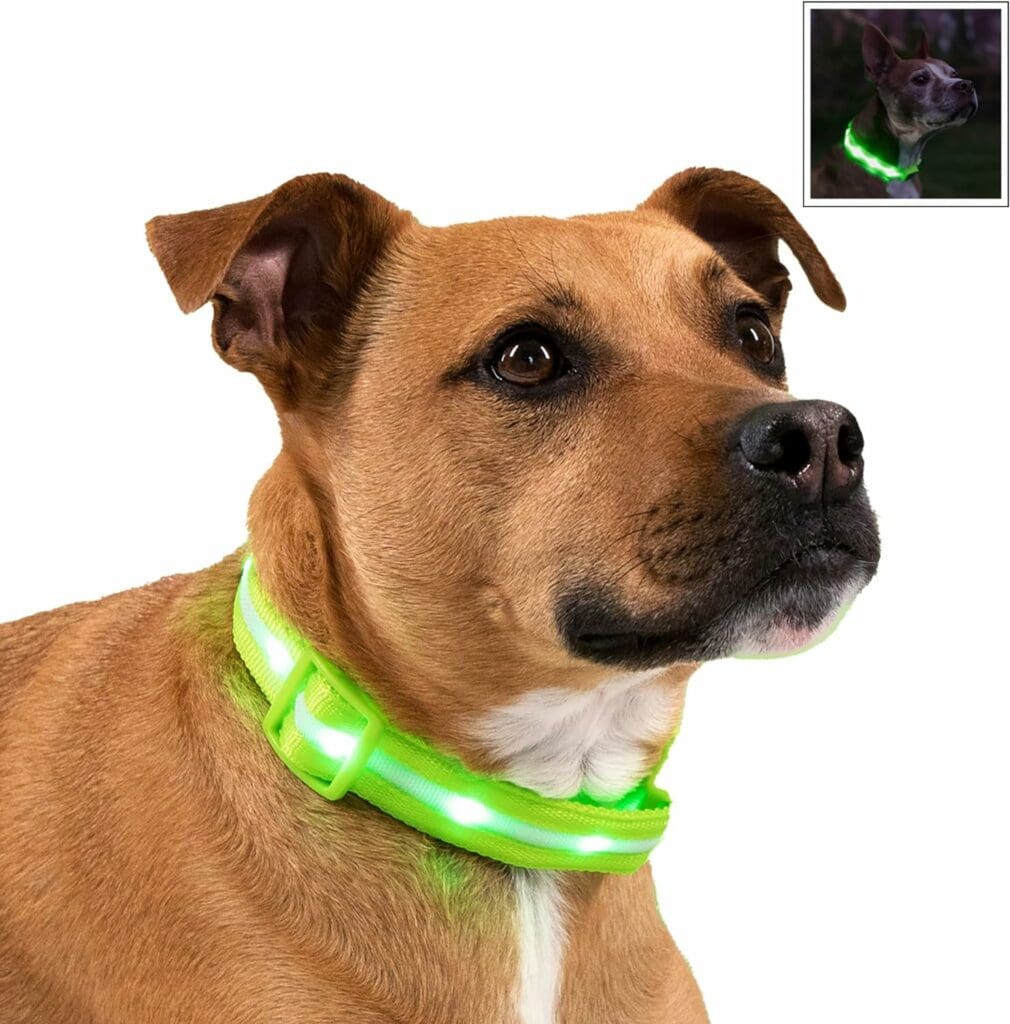 Blazin Light Up Dog Collars with 1,000 Feet of Visibility - Brightest Glow Dog Collar Light - USB Rechargeable Waterproof LED Dog Collar - Dog Lights for Night Walking Keeps Your Pets Safe in the Dark