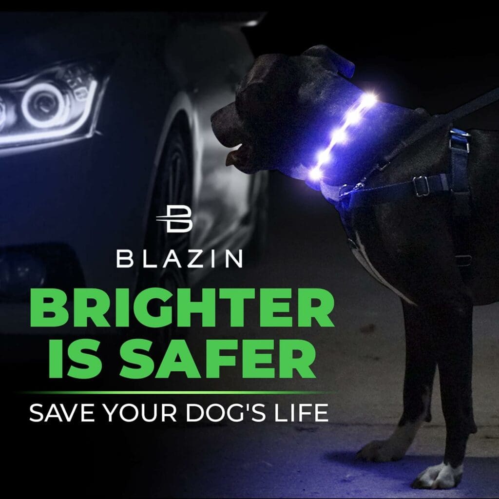 Blazin Light Up Dog Collars with 1,000 Feet of Visibility - Brightest Glow Dog Collar Light - USB Rechargeable Waterproof LED Dog Collar - Dog Lights for Night Walking Keeps Your Pets Safe in the Dark