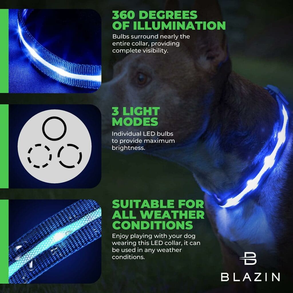 Blazin Light Up Dog Collars with 1,000 Feet of Visibility - Brightest Glow Dog Collar Light - USB Rechargeable Waterproof LED Dog Collar - Dog Lights for Night Walking Keeps Your Pets Safe in the Dark