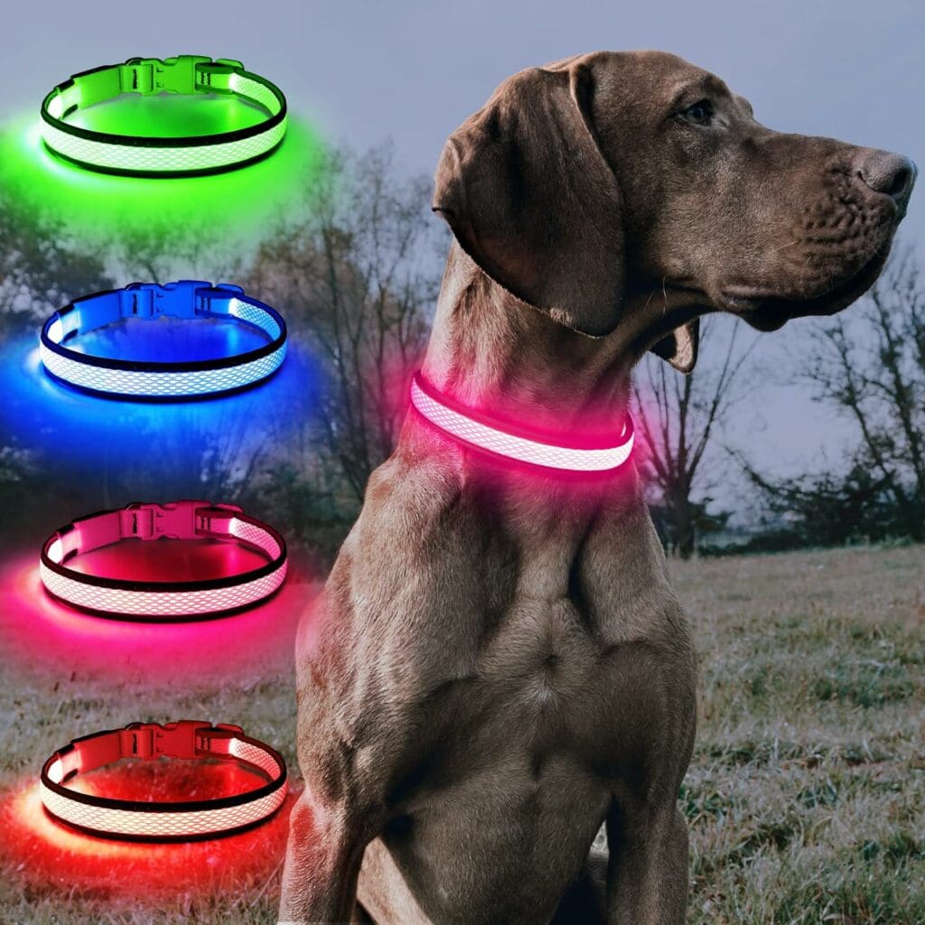 BSEEN Light Up Dog Collars - Reflective LED Dog Collar, Adjustable Puppy Collar, Rechargeable Dog Camping Gear Dog Collar Light for Small Medium Large Dogs (Large, Pink)