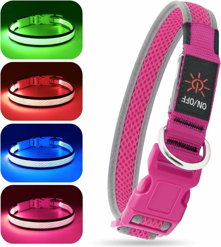 BSEEN Light Up Dog Collars - Reflective LED Dog Collar, Adjustable Puppy Collar, Rechargeable Dog Camping Gear Dog Collar Light for Small Medium Large Dogs (Large, Pink)