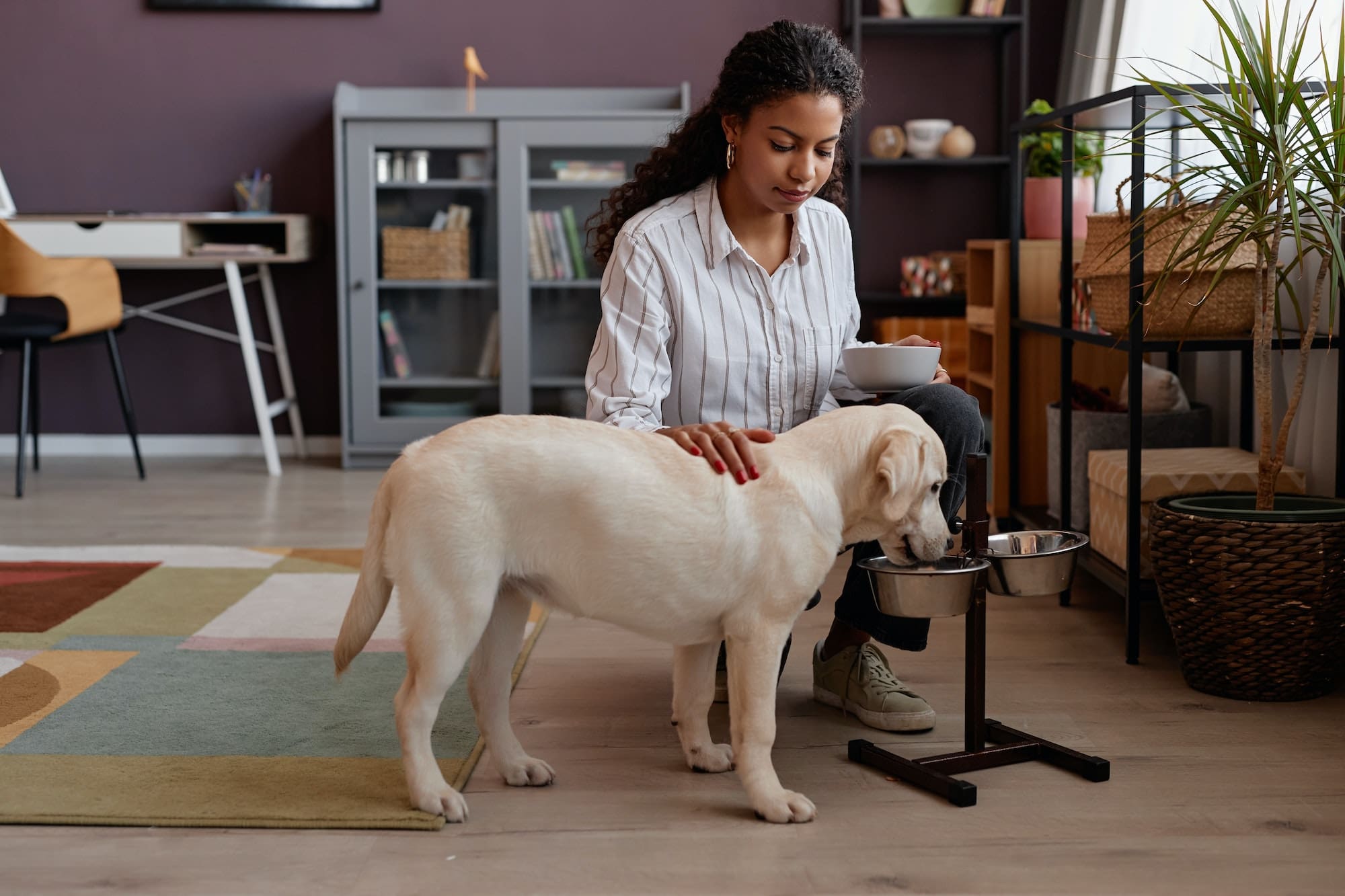 Cute dog eating food at home with caring young woman watching