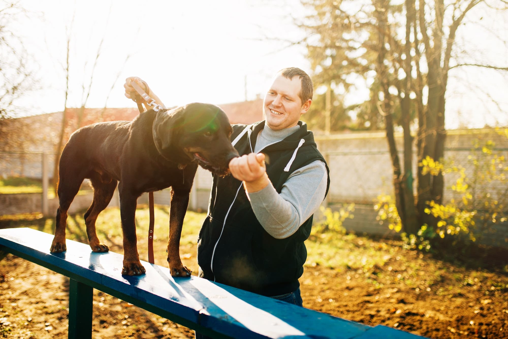 Cynologist training sniffing dog on playground