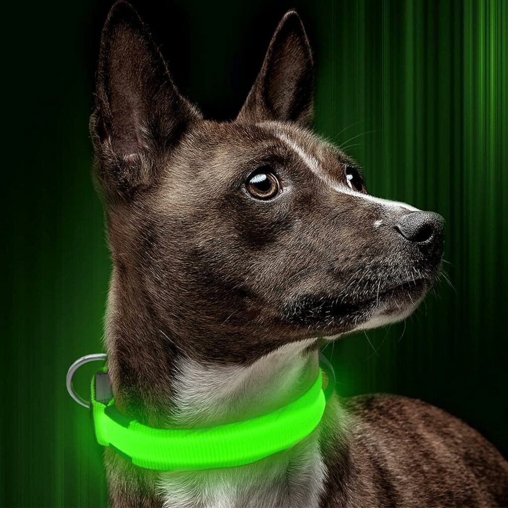 Illumifun LED Dog Collar, USB Rechargeable Glowing Pet Safety Collar, Adjustable Reflective Light Up Collar for Your Small Dogs(Green, Small)