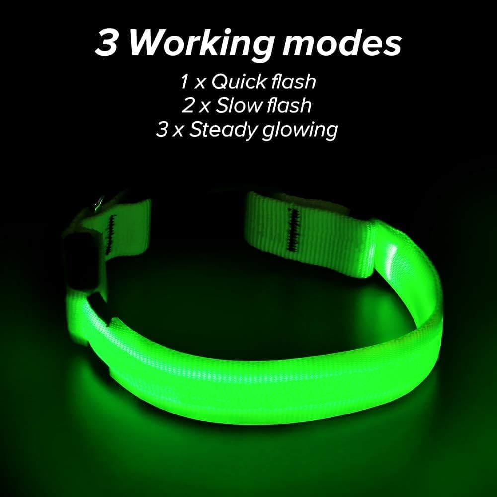 Illumifun LED Dog Collar, USB Rechargeable Glowing Pet Safety Collar, Adjustable Reflective Light Up Collar for Your Small Dogs(Green, Small)