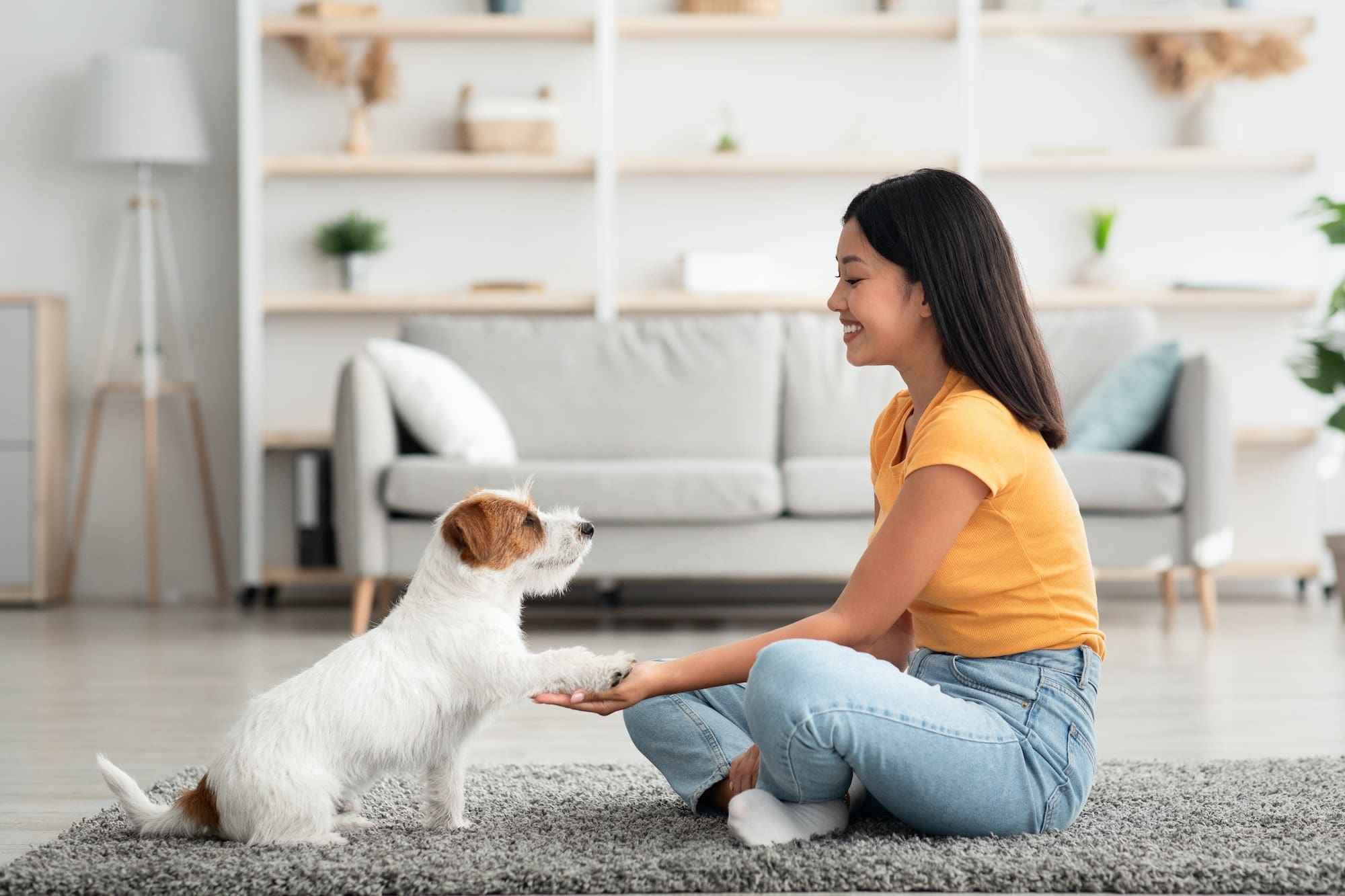 Joyful asian woman training her puppy to give paw