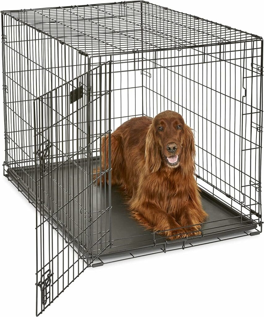 MidWest Homes for Pets Newly Enhanced Single  Double Door iCrate Dog Crate, Includes Leak-Proof Pan, Floor Protecting Feet, Divider Panel  New Patented Features