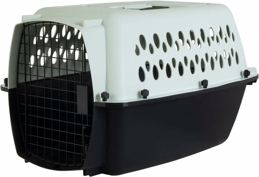 Petmate Pet Porter Fashion Dog Kennel 24, Pale Aqua  Black, for Pets 15-20lbs