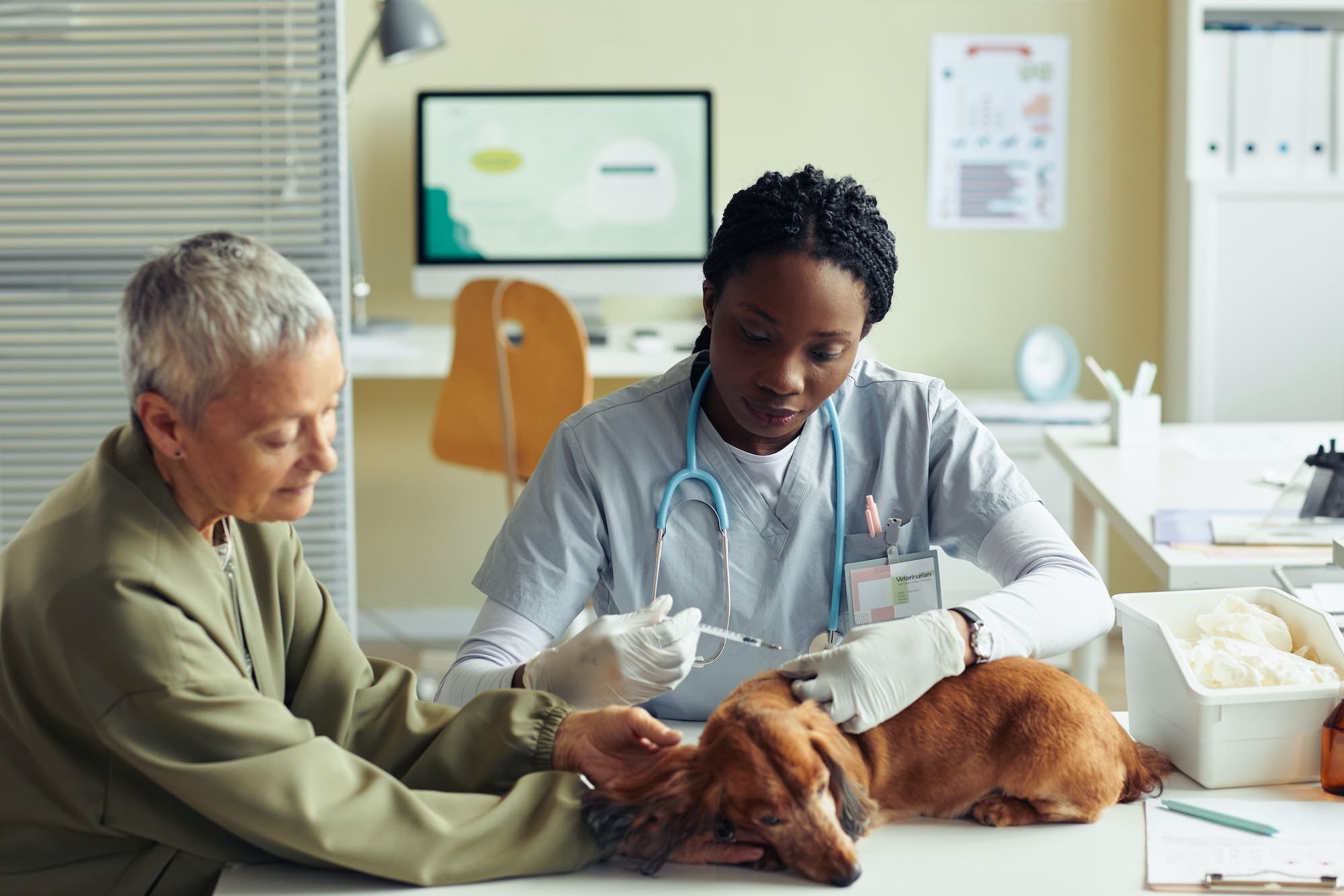 Veterinarian Vaccinating Dog in Vet Clinic