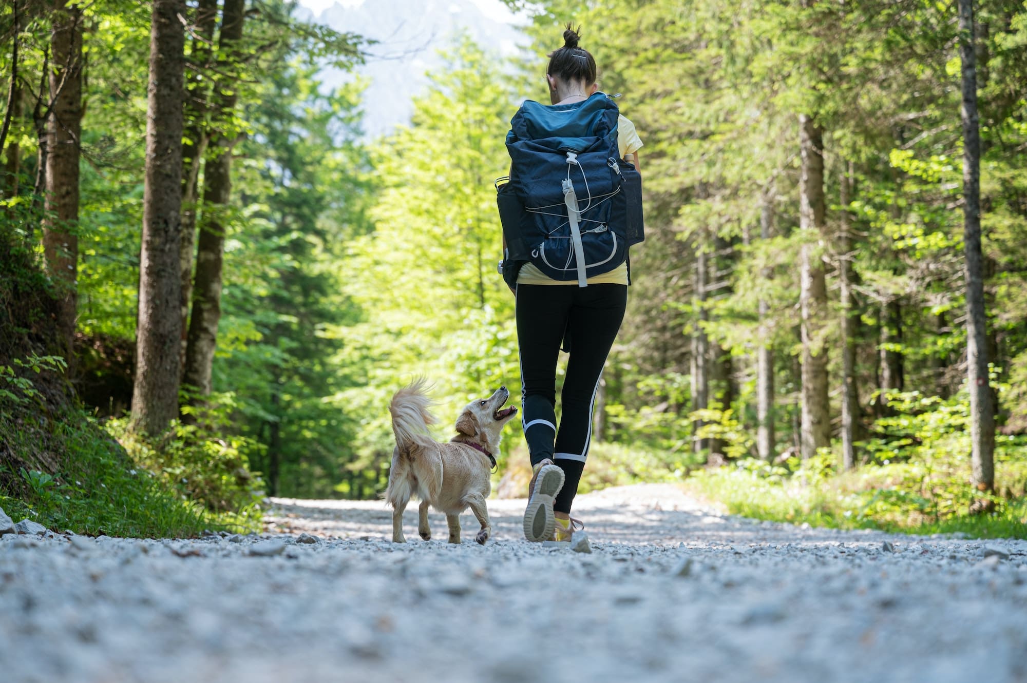 Woman hiking with her dog